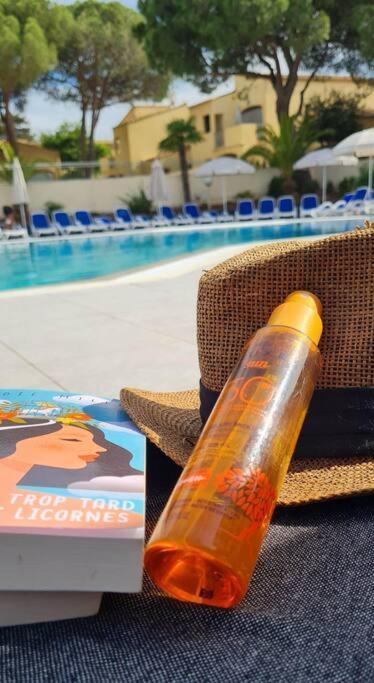 T3 Climatise Dans Avec Piscine, Proximite Et Parking Agde