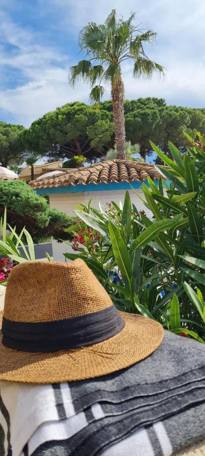 Apartment T3 Climatise Dans Avec Piscine, Proximite Et Parking
